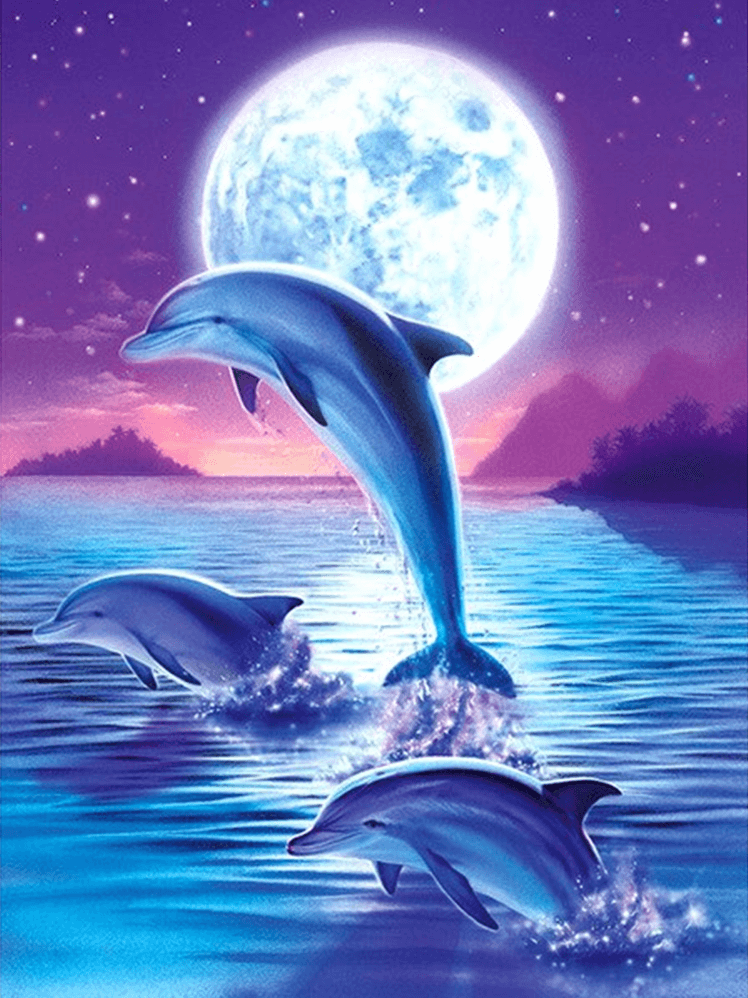 Dolphin and Blue Moon