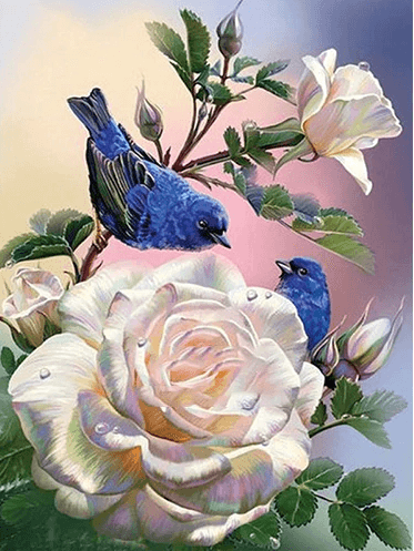 Rose and Blue Birds