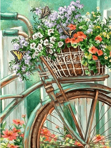Flowers and Bicycle