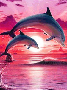 DOLPHIN JUMPING SUNSET
