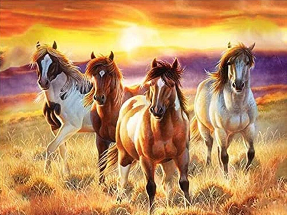 HORSES IN THE SUNSET