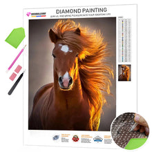 Load image into Gallery viewer, Horse Portrait