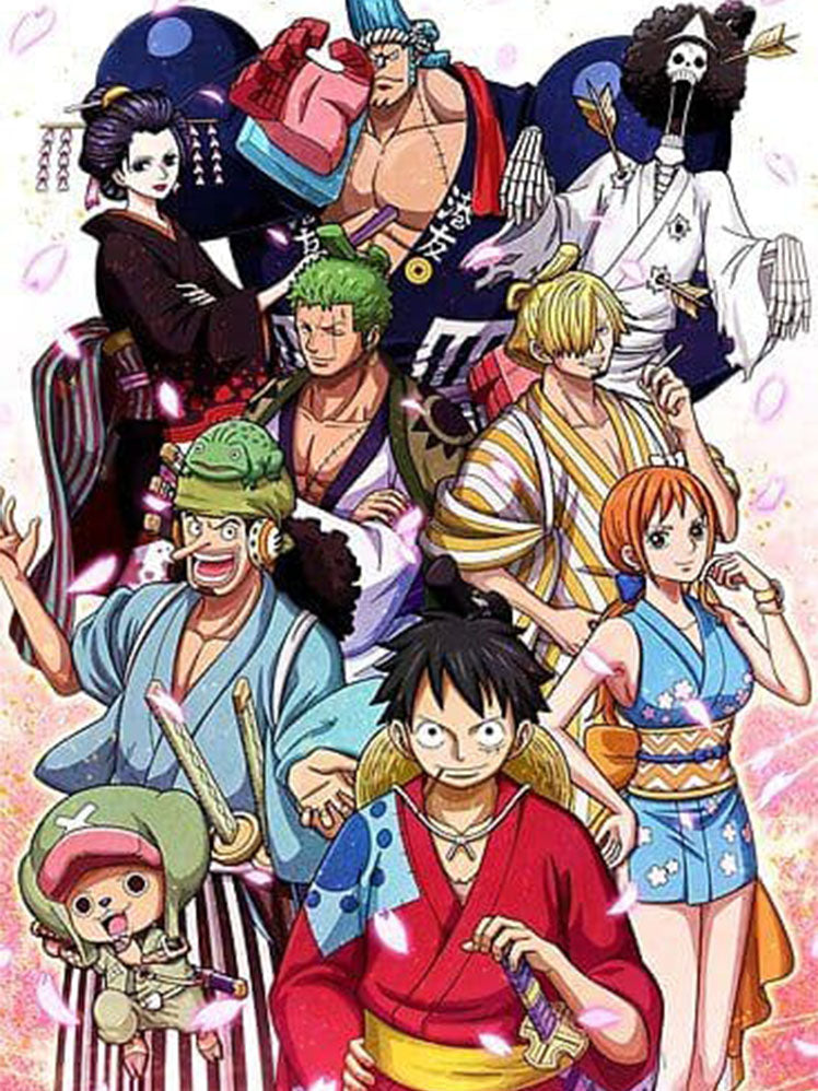 One Piece Straw Hat Pirates