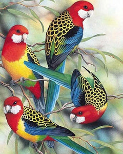 Colorful Birds On The Tree