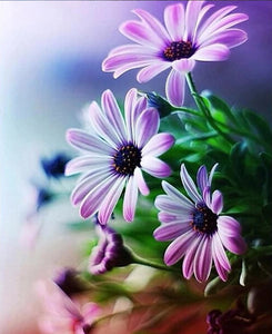 Beautiful Purple Flowers