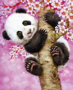 Panda Flower Tree