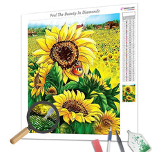 Load image into Gallery viewer, Sunflower Field