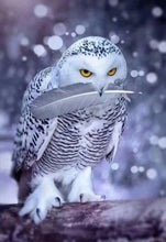 Load image into Gallery viewer, Arctic Owl