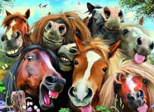Load image into Gallery viewer, SELFIES - HORSING AROUND